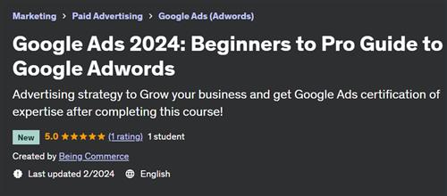 Google Ads 2024 – Beginners to Pro Guide to Google Adwords