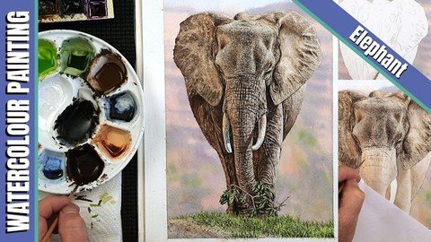Watercolor Painting Lesson – Realistic Elephant In Detail