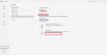 Microsoft Office 2024 Version 2403 Build 17408.20002 Preview LTSC AIO Multilingual (x86/x64) 
