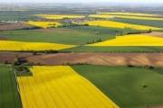 В 2023 году украинцы купили более 231 тысяч земельных участков