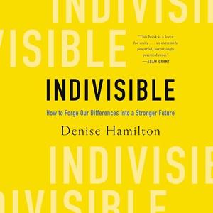 Indivisible How to Forge Our Differences into a Stronger Future [Audiobook]