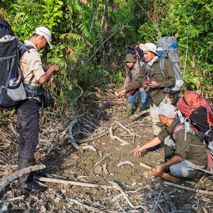 Nacionalni park Gunung Leuser 91ad8a32349f9d4bdbf9c4bca1b9f1de