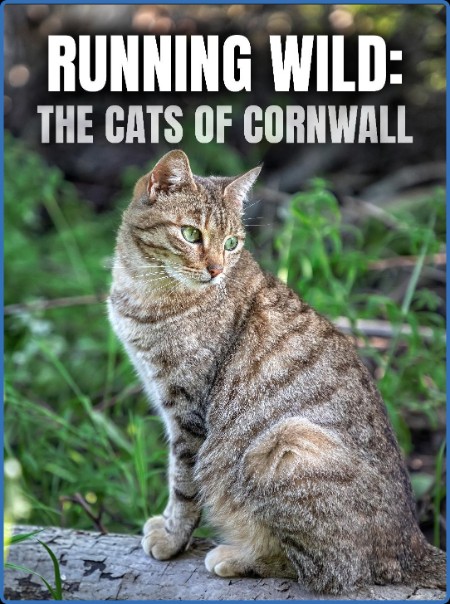 Running Wild The Cats Of CornwAll (2020) 720p BluRay [YTS]