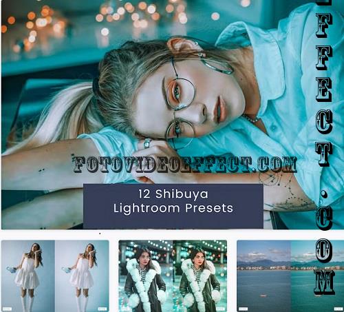 12 Shibuya Lightroom Presets - JKD6GA9