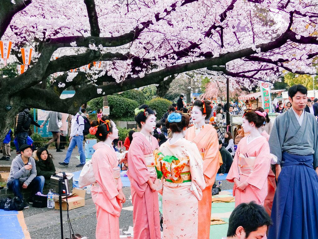 Cvetanje trešnje u Japanu - Page 4 A24571385a2c61ffe8974b29f0c2da0f
