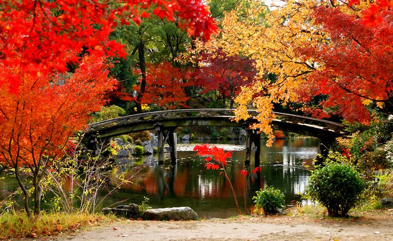 Tokio - Običaj posmatranja jesenjeg lišća 6c94f582e2c0847f556ddd13240a4912