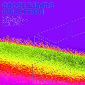 Goose Bumps Collection Vol 11 (2024)