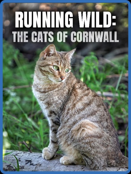 Running Wild The Cats Of Cornwall (2020) 720p WEBRip x264 AAC-YTS