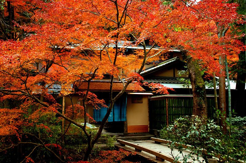 Tokio - Običaj posmatranja jesenjeg lišća 60d7e8f1e121a4bd2d452fb1742baaaf