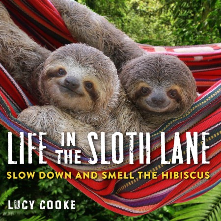 Life in the Sloth Lane by Lucy Cooke 204ddbc253e0c5f19accaaefa7b7d2b4