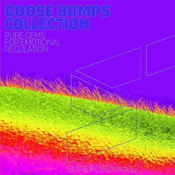 VA - Goose Bumps Collection Vol 11 (2024) MP3
