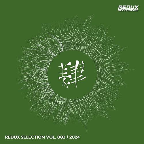 VA - Redux Selection Vol 3 / 2024 (MP3)