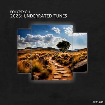 VA - 2023: Underrated Tunes (2024) MP3