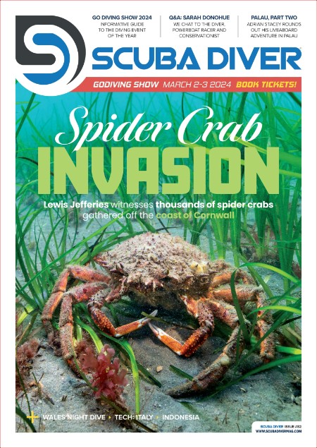 Scuba Diver Issue 82