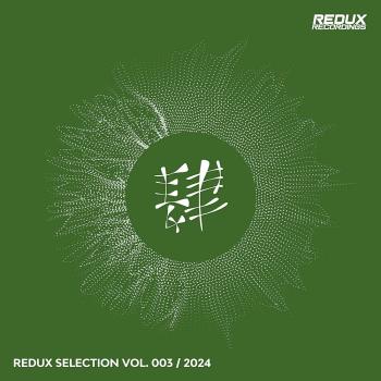 VA - Redux Selection Vol 3 / 2024 MP3