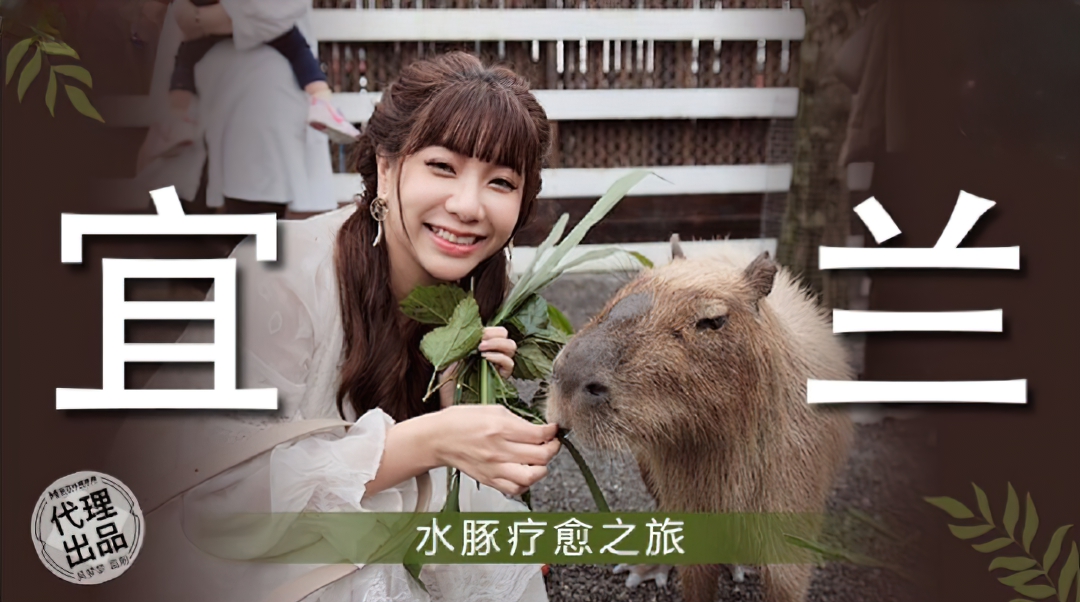 Wu Mengmeng - Capybara Healing Journey in Yilan. - 1.12 GB