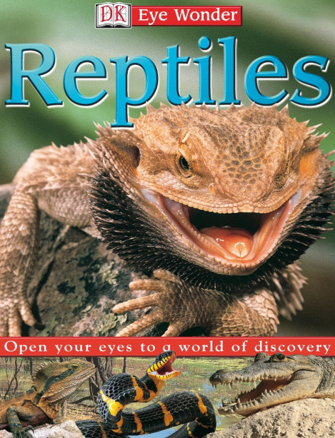 4512da9198428e7542a639c9463f46f8.jpg