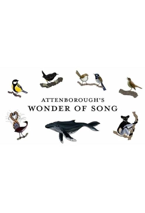 David Attenborough i głosy natury / Attenborough's Wonder of Song (2022) PL.1080i.HDTV.H264-OzW / Lektor PL