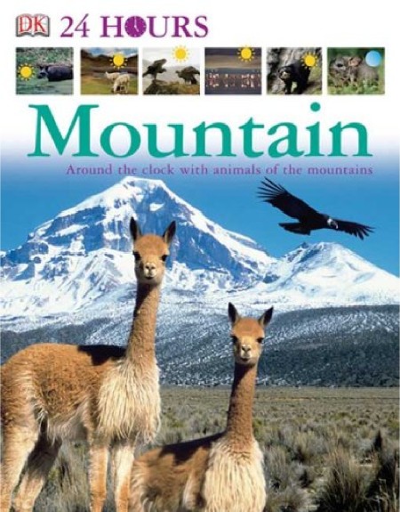 Mountain by DK Publishing