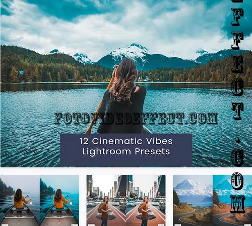 12 Cinematic Vibes Lightroom Presets - R29VLC5