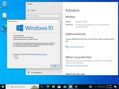 Windows 10 Pro 22H2 build 19045.4046 With Office 2021 Pro Plus Preactivated February 2024 (x64) 