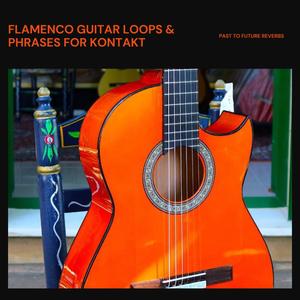 PastToFutureReverbs Flamenco Guitar Loops And Phrases For KONTAKT