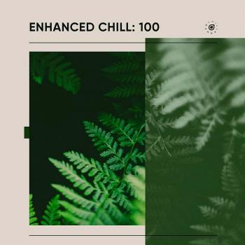 VA - Enhanced Chill 100 (2024) MP3