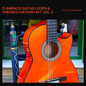 PastToFutureReverbs Flamenco Guitar Loops And Phrases Vol. 2 For KONTAKT