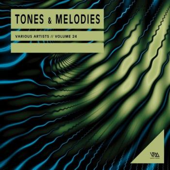 VA - Tones & Melodies Vol 24 (2024) MP3