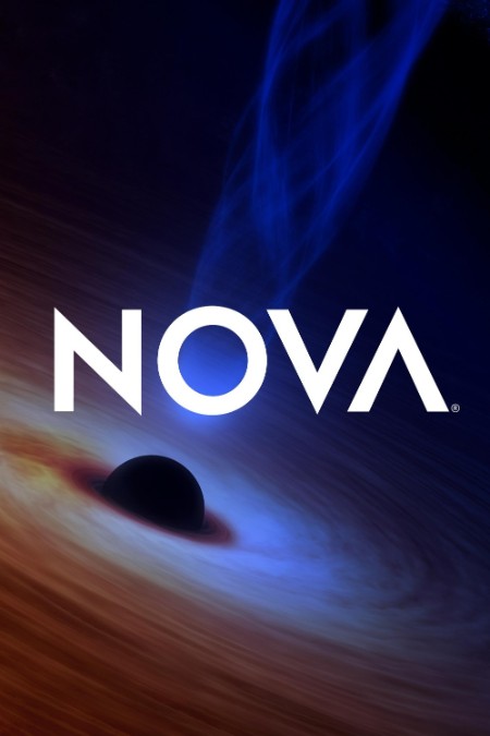 NOVA S51E04 Hunt for The Oldest DNA 1080p WEBRip x264-BAE