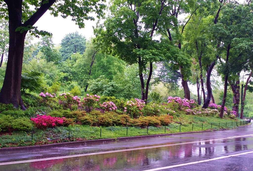 Conservatory Garden, Central Park, New York City - Page 2 47884e7c2fbb654d45a08a047097cfab