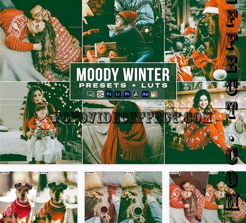 Moody Winter Luts + Presets Mobile & Desctop - ME3RGW2