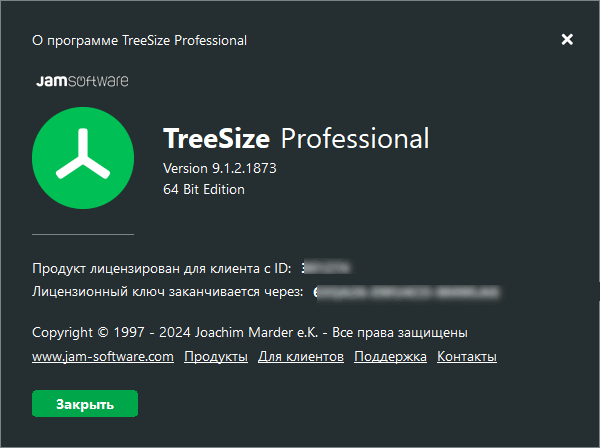 TreeSize Professional 9.1.2.1873