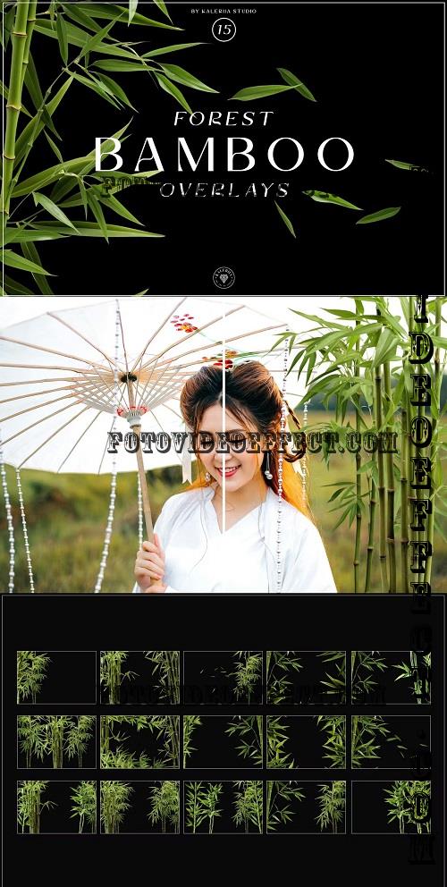 Bamboo Forest Overlays - PUKWNZH