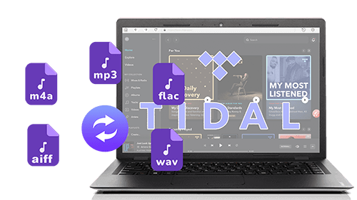 Pazu Tidal Music Converter 1.5.8 Multilingual