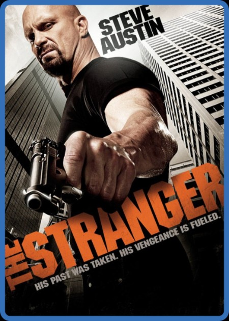 The Stranger (2010) 1080p AMZN WEB-DL DDP 5 1 H 264-PiRaTeS