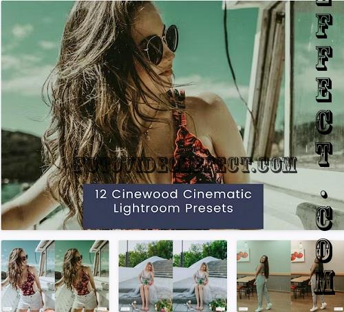 12 Cinewood Cinematic Lightroom Presets - L79MP2F