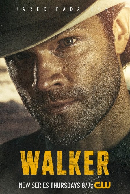 Walker S01E16 MULTi 1080p WEB H264-AMB3R
