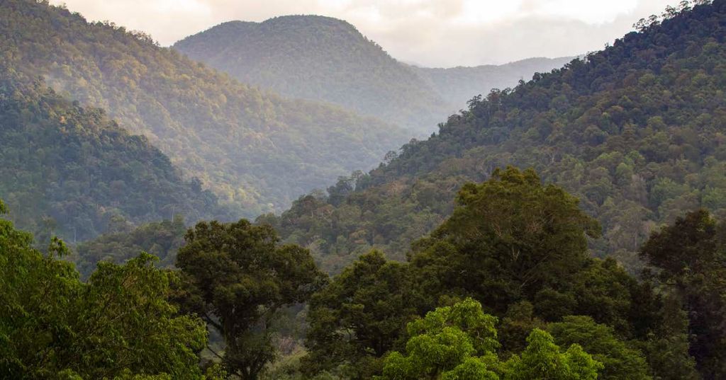 Nacionalni park Gunung Leuser B61520e06840dec13b73973484a5d2a7