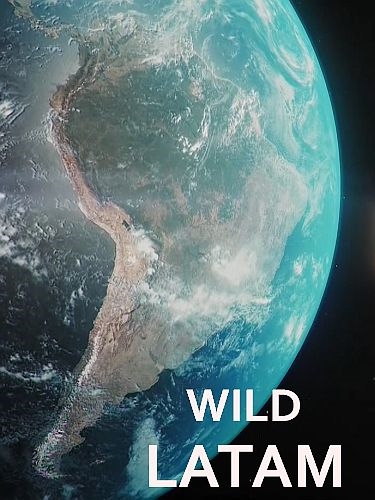 Дикая Латинская Америка / Wild Latam [01-04 из 10] (2020) HDTV 1080i | P1