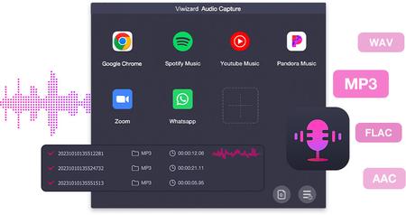 Viwizard Audio Capture 1.1.0.1