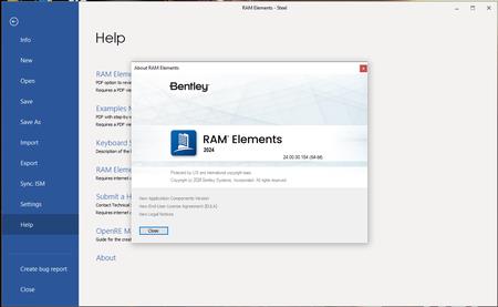 RAM Elements 2024 (24.00.00.154) Win x64