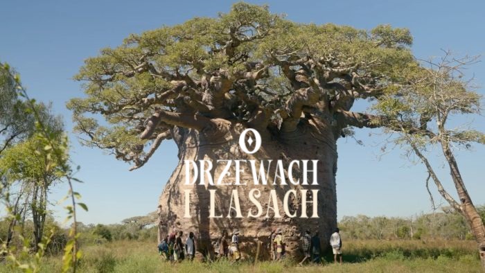 O drzewach i lasach / Of trees and forests (2023) [SEZON 1 ] PL.1080i.HDTV.H264-B89 / Lektor PL