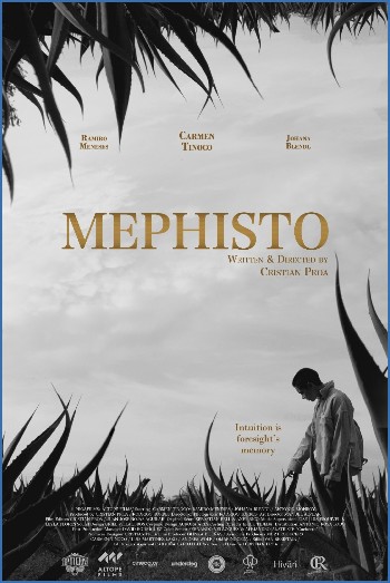 Mephisto 2022 1080p WEBRip x264 AAC5 1-YTSMX