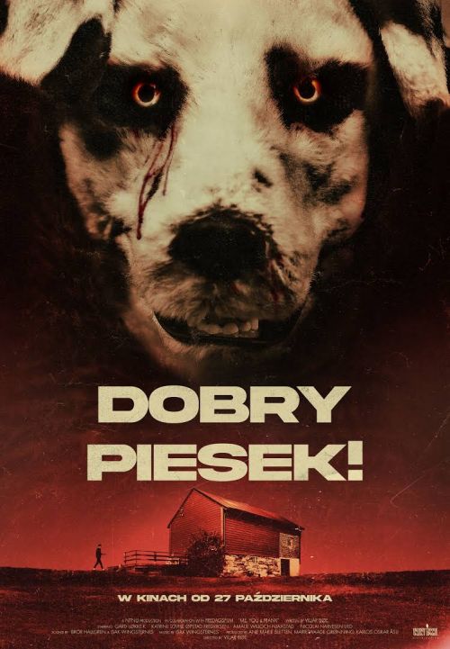 Dobry piesek! / Good Boy (2022) PL.1080p.WEB-DL.H.264-FOX / Polski Lektor (VOD)