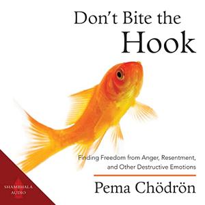Don’t Bite the Hook Finding Freedom from Anger, Resentment, and Other Destructive Emotions [Audiobook]