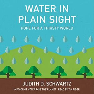 Water in Plain Sight Hope for a Thirsty World [Audiobook]