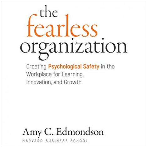 Amy C. Edmondson - (2019) - The Fearless Organization (business)