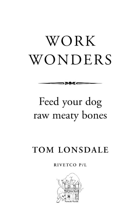 WORK WONDERS by Tom Lonsdale