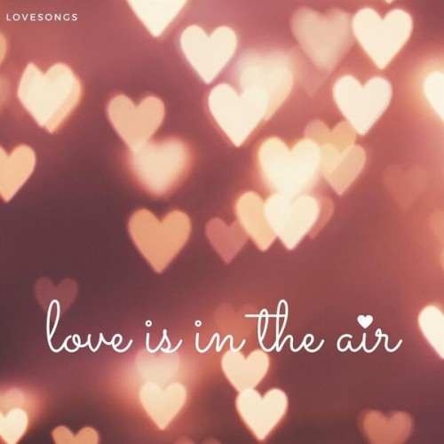 Lovesongs  Love Is In The Air (2024)